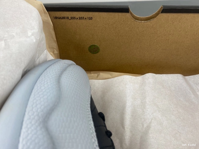 12 CT8013-010 Jordan Air Barons 0731